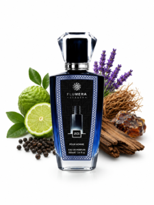 Jewels 201 - Parfum pour homme - 100ml